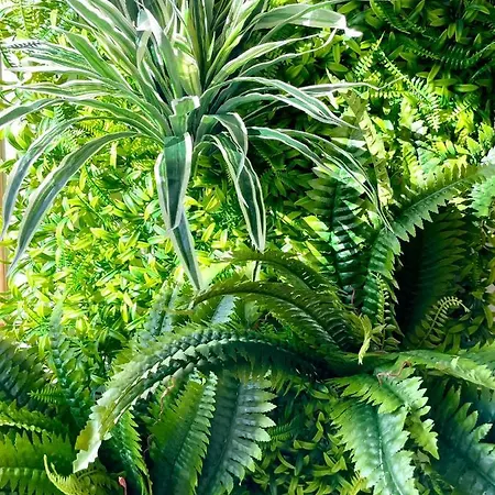 Apartment Escale Boheme - Terrasse En Centre-ville - Gare Amiens